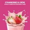 image:imageSlimFast Meal Replacement Shake Original Rich Chocolate Royale No Added Sugar Meal Replacement Shakes 10g Ready to Drink Protein 5g Fiber 25 Vitamins and Minerals 11 Fl Oz 12 CountStrawberries  Crme